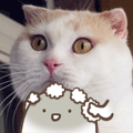 С˶± 2