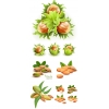ɫʸ
