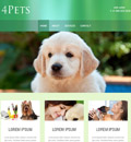 CSS3ɫģ