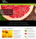 ԰ֲHTML5վģ