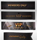 VIP˿ǩʸ