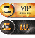 VIPʶʸ
