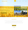ɫHTML5ũҵģ