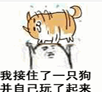 ӹ̬QQ