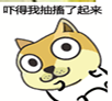 doge