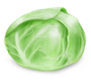 ɫ߲ͼ