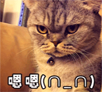 ΢ű